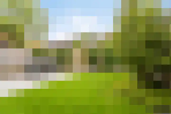 Wijst 73 Gemert thumbnail 35
