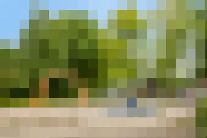 Wijst 73 Gemert thumbnail 38