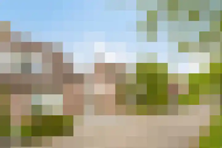 Wijst 73 Gemert thumbnail 7