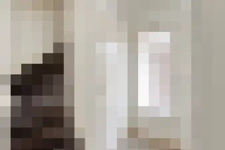 Wijst 73 Gemert thumbnail 9