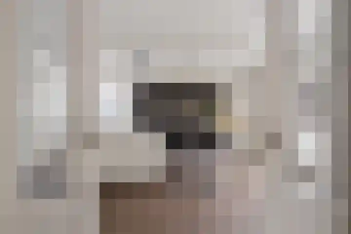 Wijstgrond 5 Boekel thumbnail 14