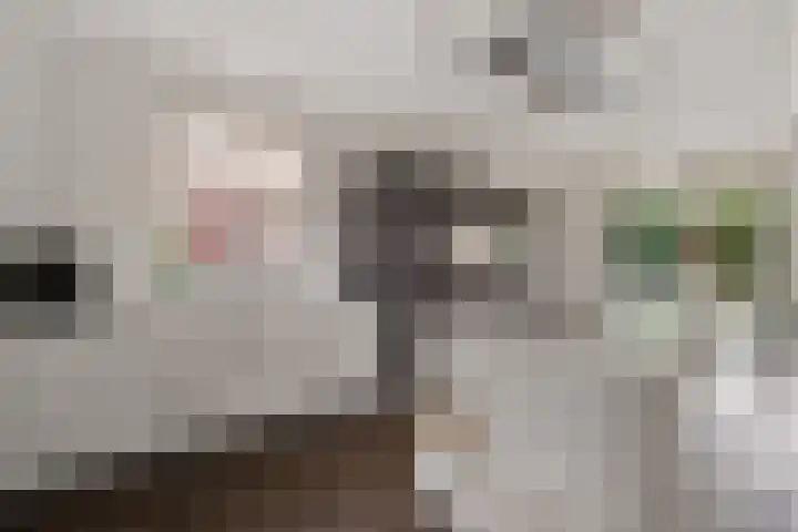 Wijstgrond 5 Boekel thumbnail 16