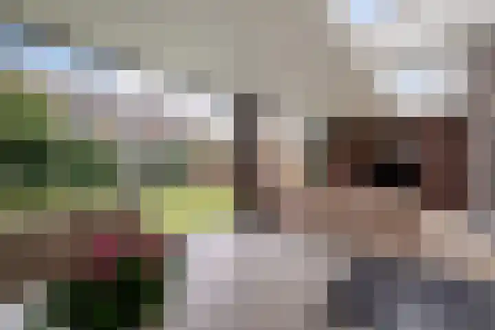Wijstgrond 5 Boekel thumbnail 20