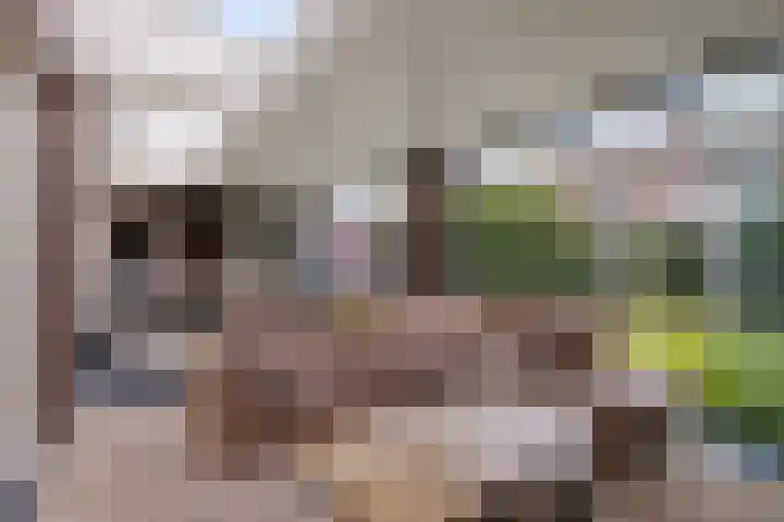 Wijstgrond 5 Boekel thumbnail 21