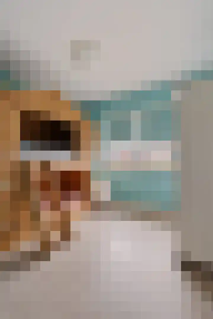 Wijstgrond 5 Boekel thumbnail 31