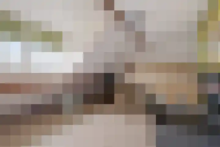Wijstgrond 5 Boekel thumbnail 38