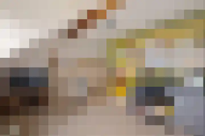 Wijstgrond 5 Boekel thumbnail 39
