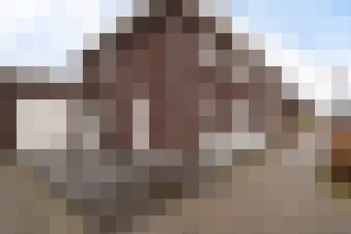 Wijstgrond 5 Boekel thumbnail 48