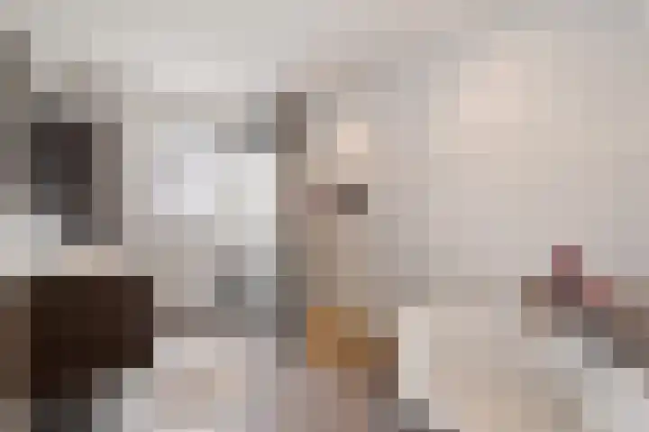 Wijstgrond 5 Boekel thumbnail 5