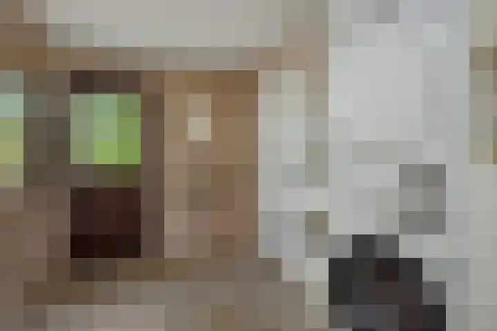 Wijststraat 37 Heesch thumbnail 16
