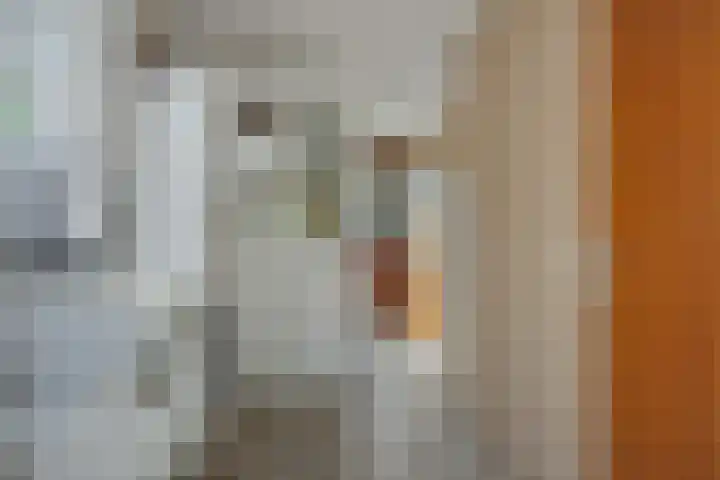 Wijststraat 37 Heesch thumbnail 17