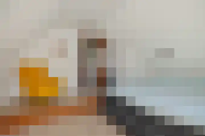 Wijststraat 37 Heesch thumbnail 28