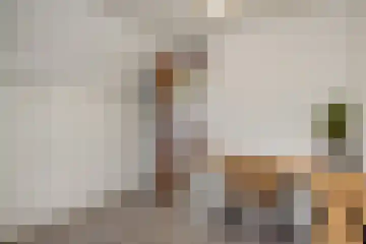 Wijststraat 37 Heesch thumbnail 31