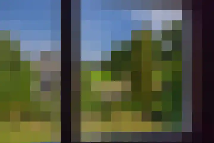 Wijststraat 37 Heesch thumbnail 36
