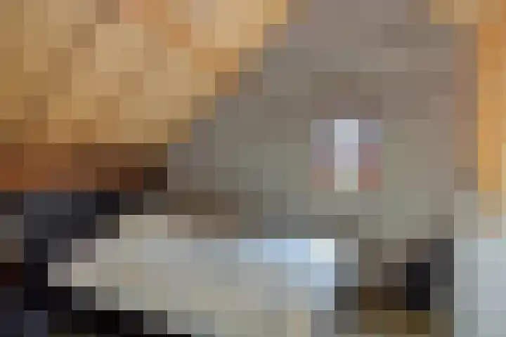 Wijststraat 37 Heesch thumbnail 47