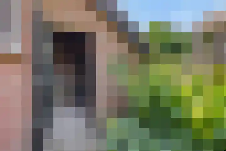 Wijststraat 37 Heesch thumbnail 48