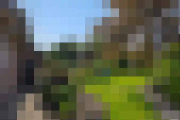 Wijststraat 37 Heesch thumbnail 49
