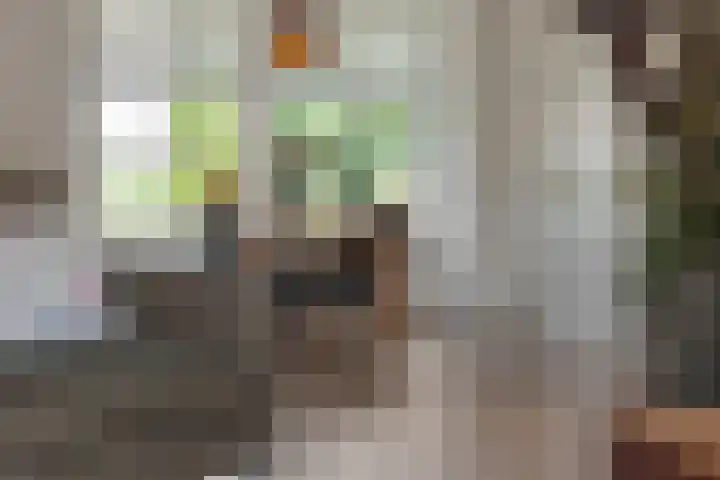Wijststraat 37 Heesch thumbnail 5