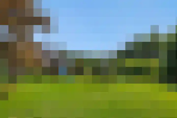 Wijststraat 37 Heesch thumbnail 50