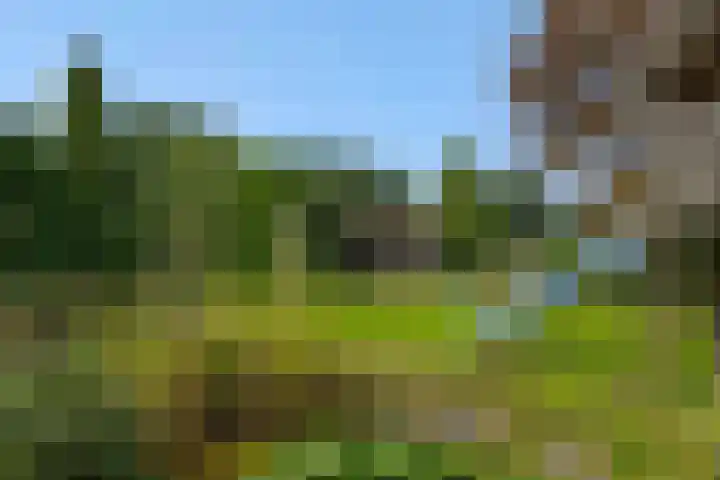 Wijststraat 37 Heesch thumbnail 53