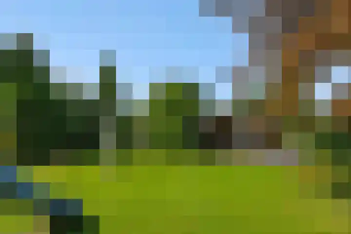 Wijststraat 37 Heesch thumbnail 54