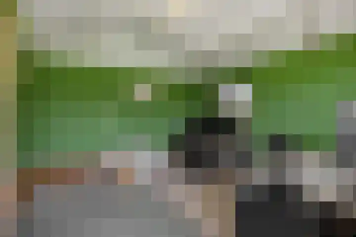 Wijststraat 37 Heesch thumbnail 55