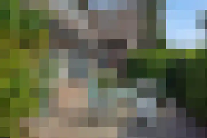 Wijststraat 37 Heesch thumbnail 59