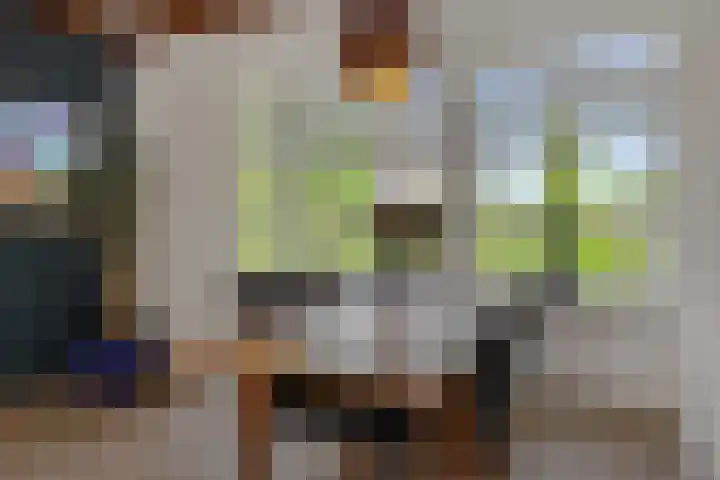 Wijststraat 37 Heesch thumbnail 6