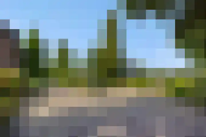 Wijststraat 37 Heesch thumbnail 63