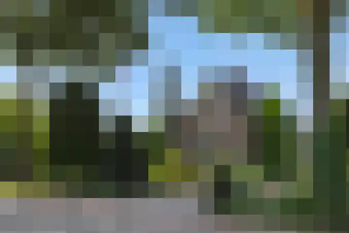 Wijststraat 37 Heesch thumbnail 65