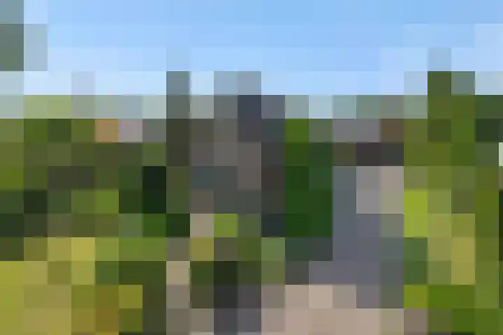 Wijststraat 37 Heesch thumbnail 68