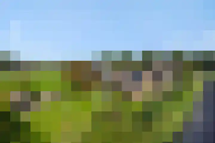 Wijststraat 37 Heesch thumbnail 71
