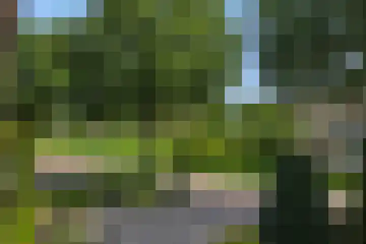 Wijststraat 37 Heesch thumbnail 73
