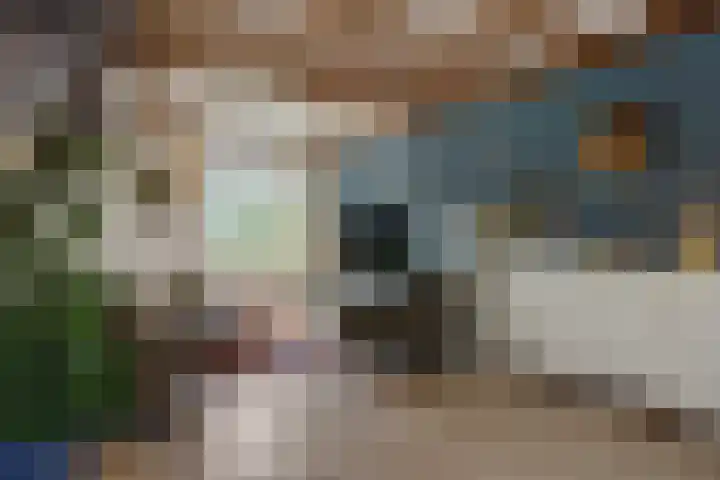 Wijststraat 37 Heesch thumbnail 8