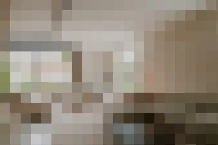 Wikke 16 Meteren thumbnail 11