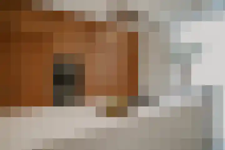 Wikke 16 Meteren thumbnail 15