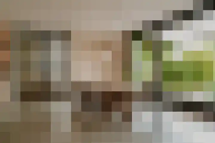 Wikke 16 Meteren thumbnail 20