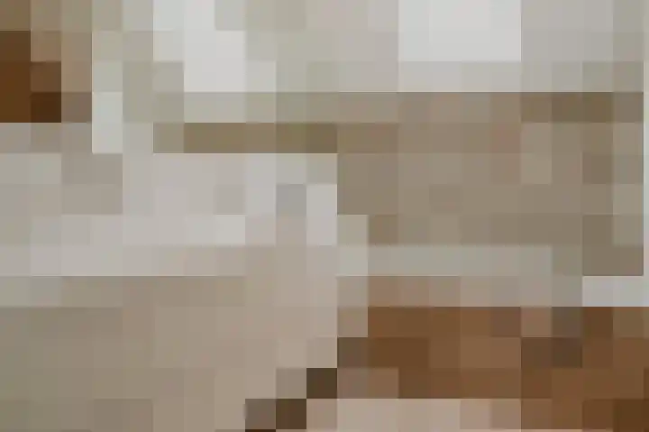 Wikke 16 Meteren thumbnail 37