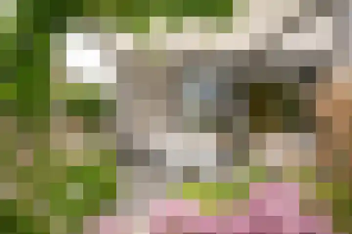 Wikke 16 Meteren thumbnail 4
