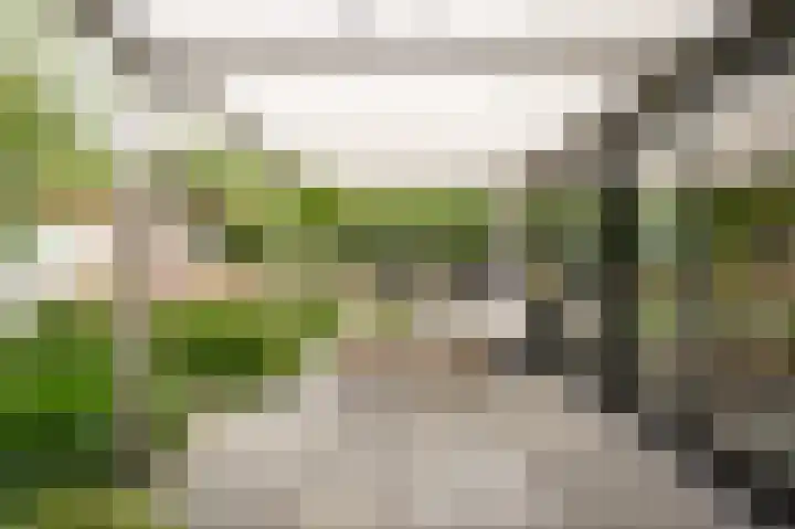 Wikke 16 Meteren thumbnail 46