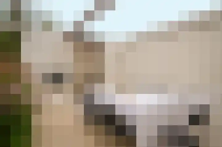 Wikke 16 Meteren thumbnail 47