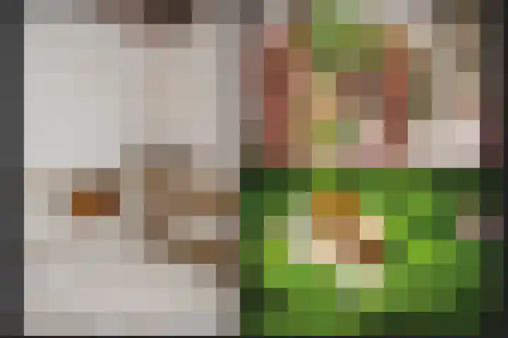 Wikke 16 Meteren thumbnail 48