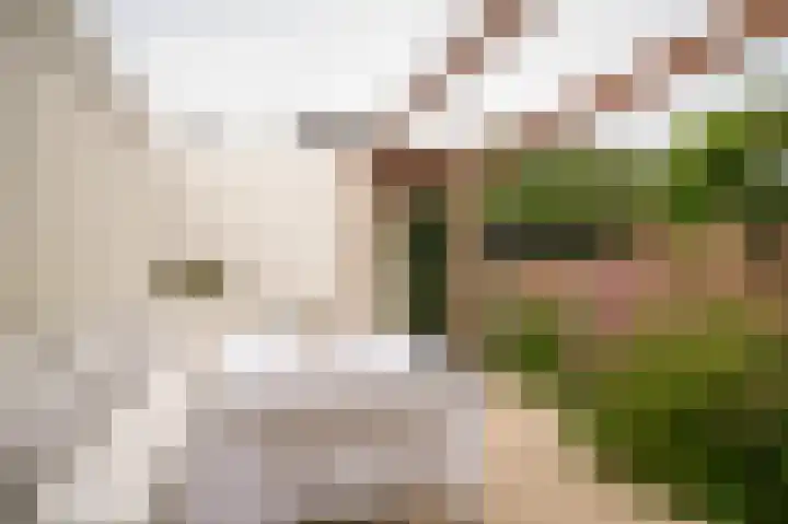 Wikke 16 Meteren thumbnail 49