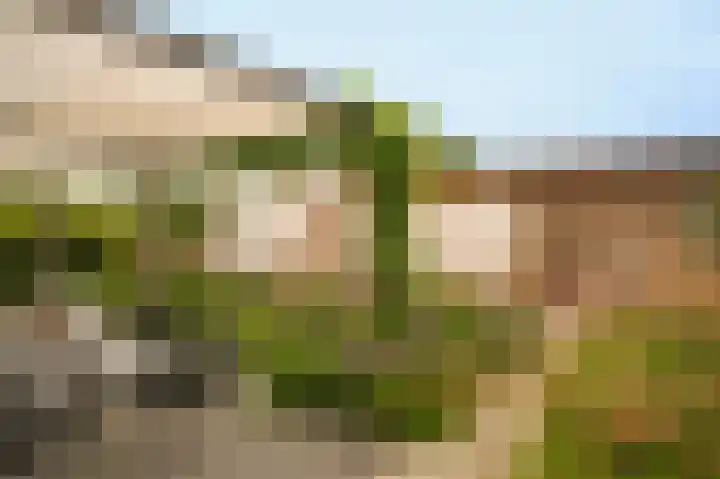 Wikke 16 Meteren thumbnail 52
