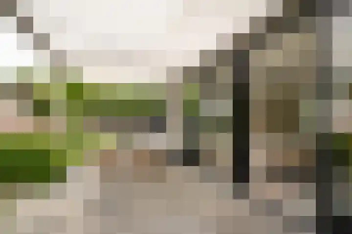 Wikke 16 Meteren thumbnail 54