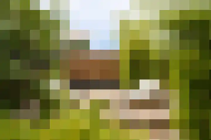 Wikke 16 Meteren thumbnail 55