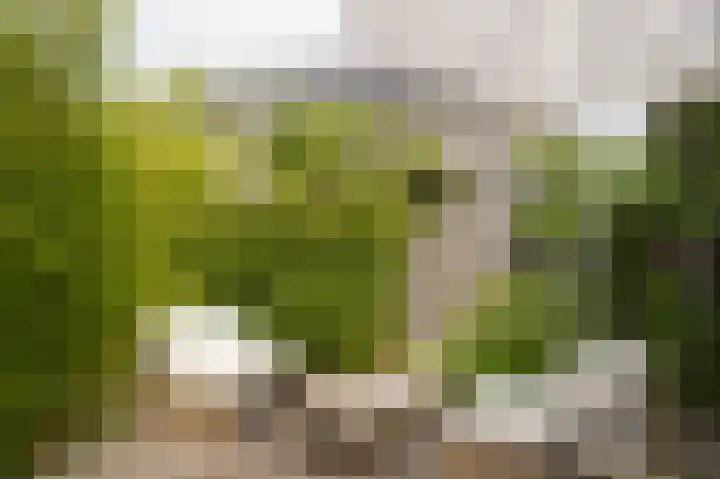 Wikke 16 Meteren thumbnail 56