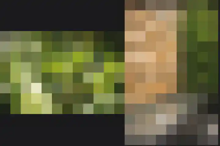Wikke 16 Meteren thumbnail 57