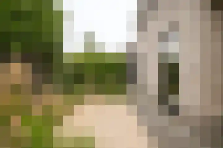 Wikke 16 Meteren thumbnail 59