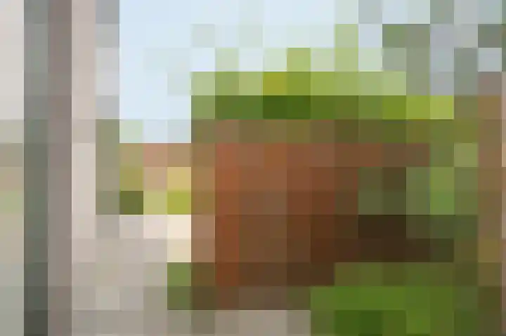 Wikke 16 Meteren thumbnail 60